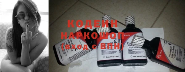 прущие грибы Михайловка