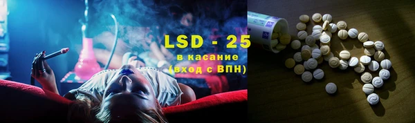 прущие грибы Михайловка