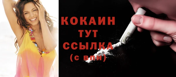 прущие грибы Михайловка