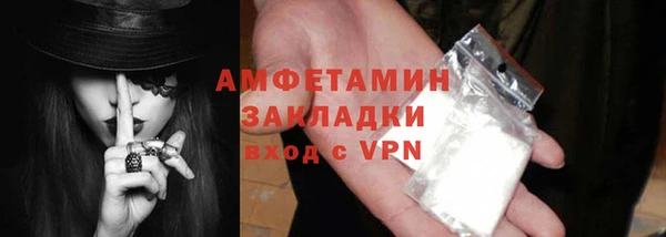 прущие грибы Михайловка