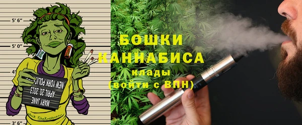 молекула духа Надым