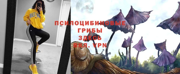 прущие грибы Михайловка
