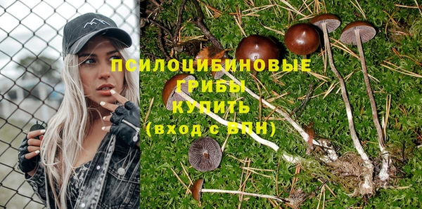 твердый Михайловск