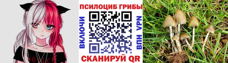 Галлюциногенные грибы прущие грибы  Приволжск 